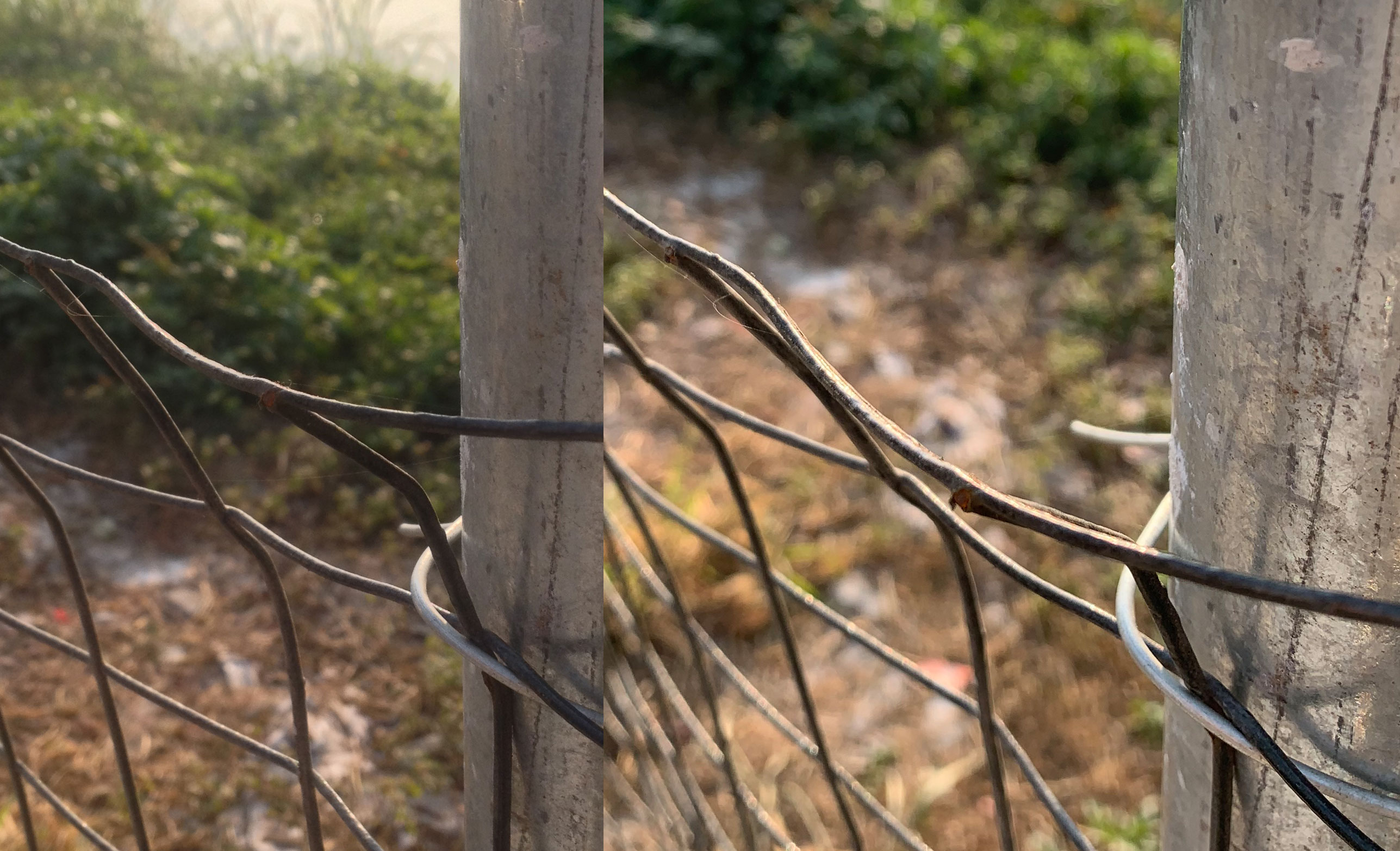 iphone12与iphone12pro拍照对比,十年前的iphone4s依旧很流畅