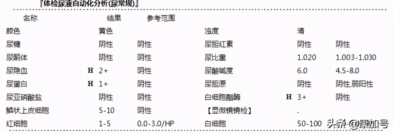 读懂体检单丨尿常规检查，能看出来肾好不好？一文教你看懂