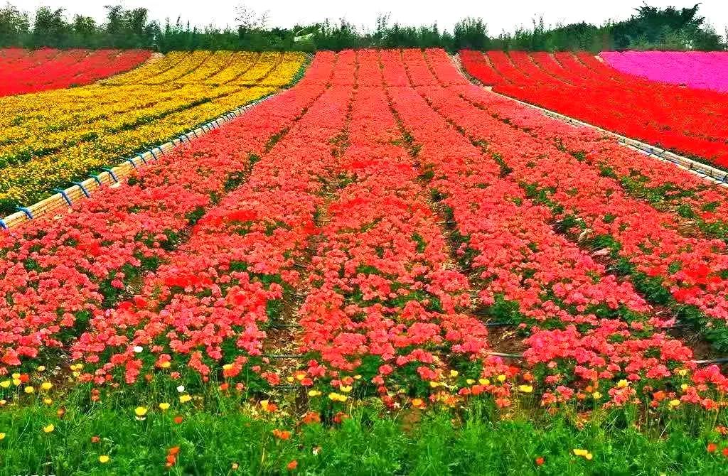 合肥最宜居小区,合肥最宜居的板块
