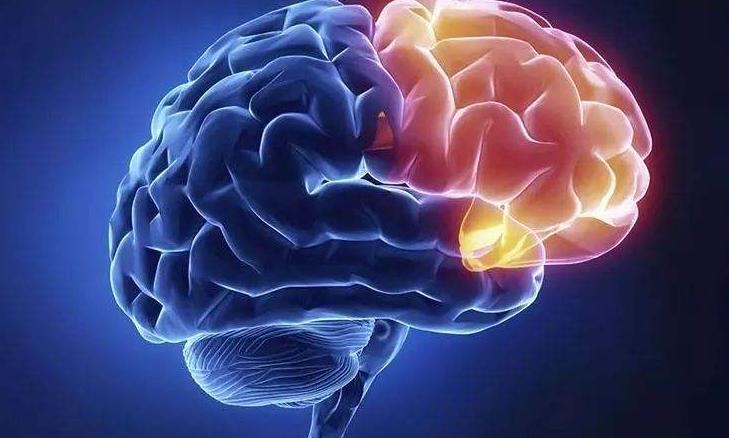 屁股大的好生养有科学依据吗,孕妇屁股大容易生男孩吗