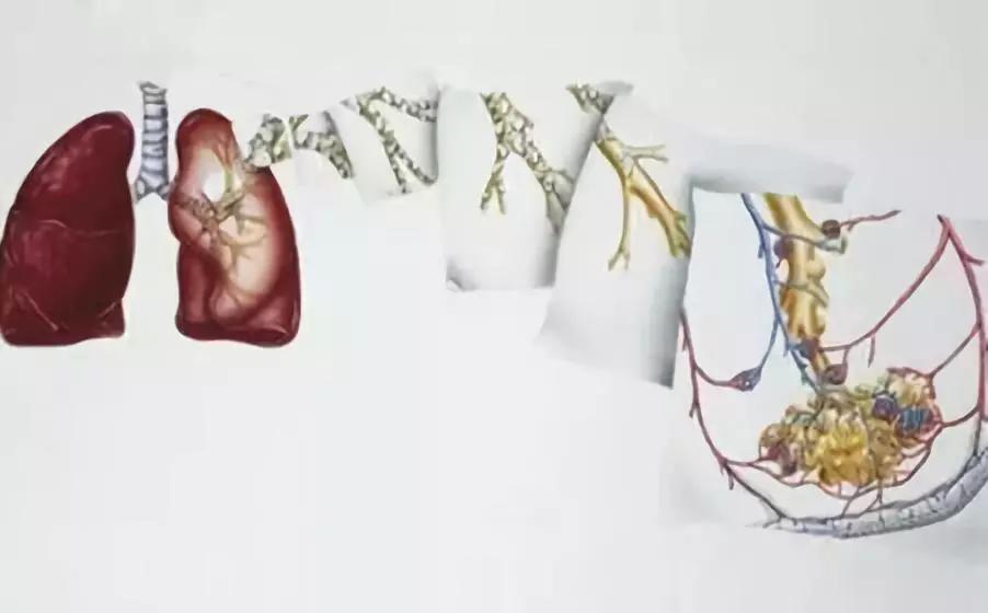 孩子哮喘怎么食疗,孩子哮喘自愈的十大方法