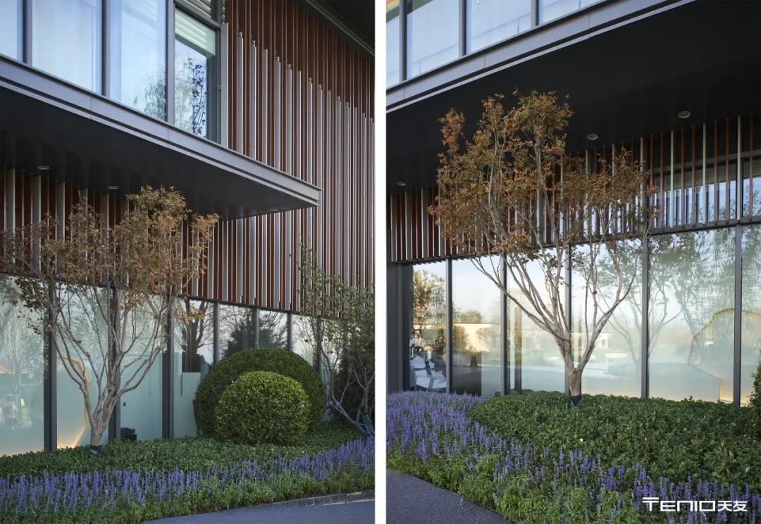 湖面之上的光影盒子——雅居乐·滨河雅郡/天友设计