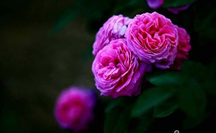 临颍：摄影家大咖走进三高，现场传授摄影秘籍