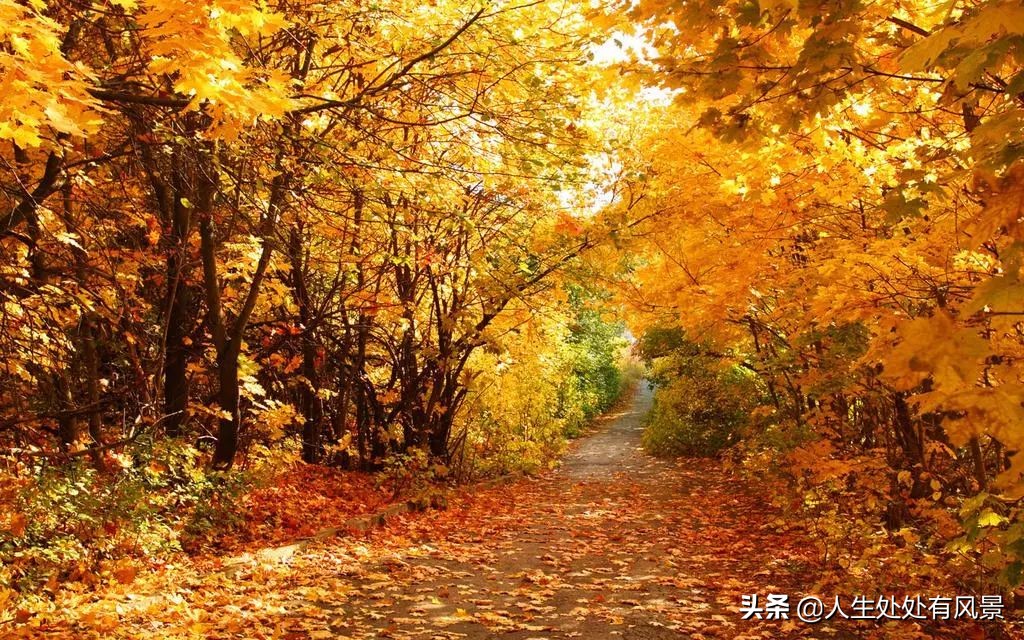 我吃着汉堡，妈妈注视着我（中低年级）「杨柳风学堂习作选登」