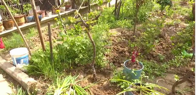 和谐佳苑小区最新消息,和谐佳苑拆迁