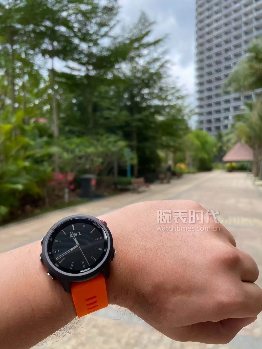 劳力士爱彼碳纤维表,劳力士爱彼江诗丹顿