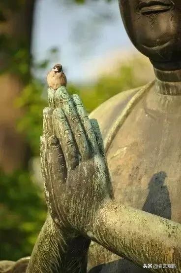 欣赏世间之美,欣赏之美