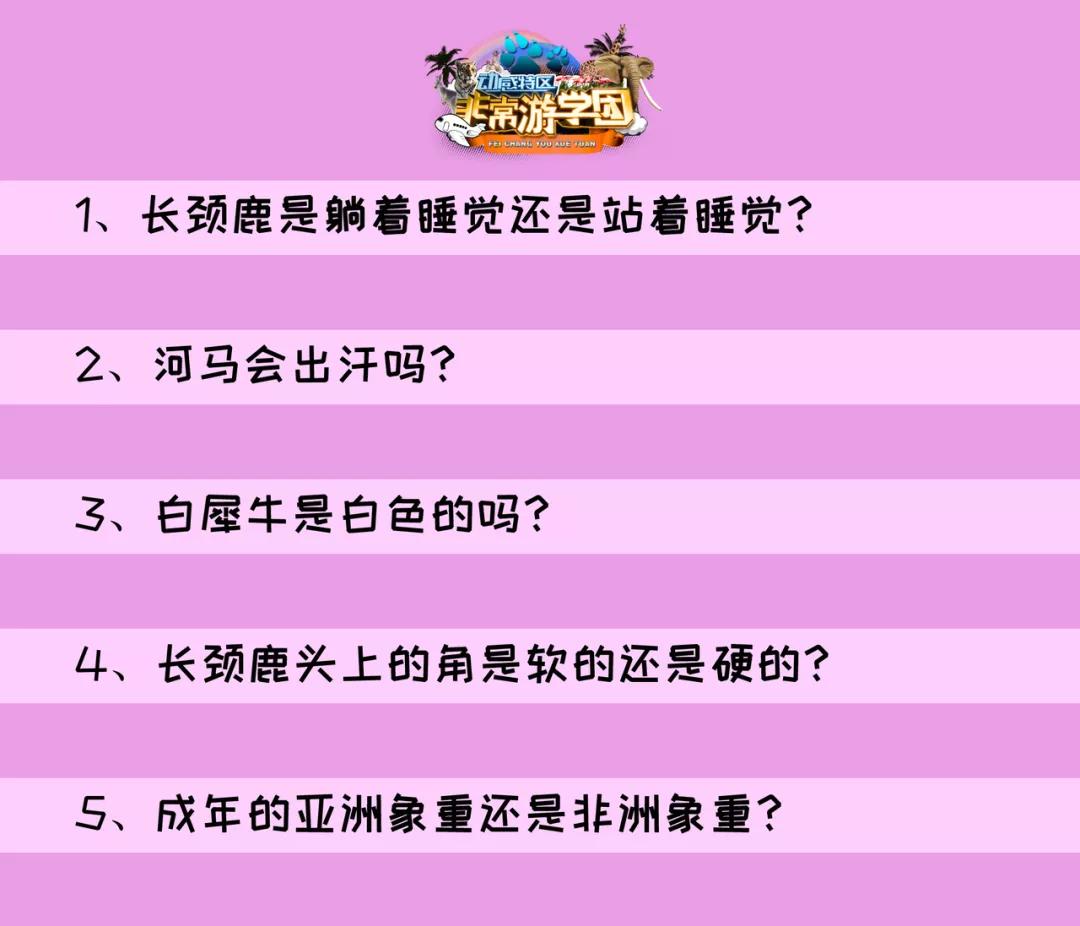 大熊猫百科知识详细介绍,大熊猫前脚有几只手指