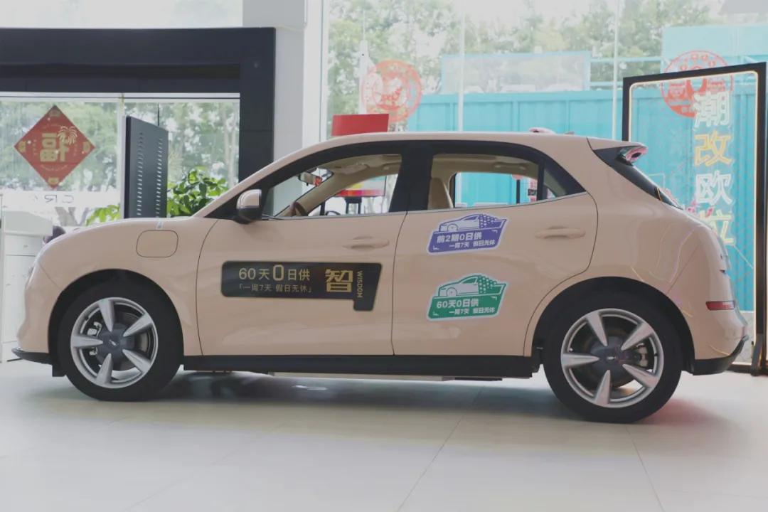 “七夕节”快到了送啥玫瑰不如送“欧拉好猫”吧