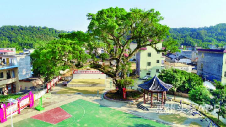 惠州市封闭式健身,惠城区24小时健身