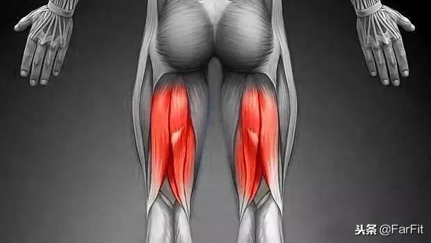 改善腘绳肌柔韧的训练动作,跑步腘绳肌最好的锻炼方法