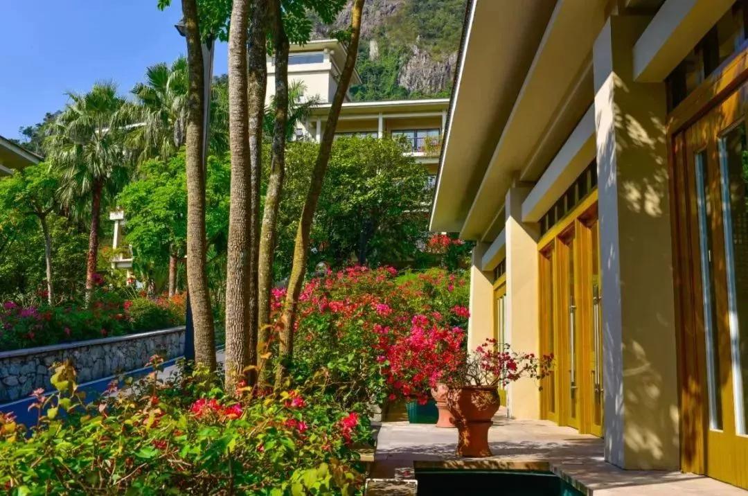 广东省内海拔最高的5星温泉金叶子，高山温泉+房间温泉一并拥有