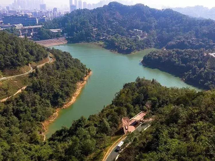 羊台山风景视频大全,深圳羊台山哪里风景最好