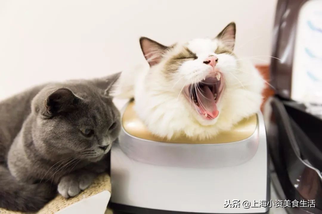 杩涘叆绾康纰戝康纰戣胺,杩涘叆绾康纰戣胺