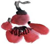 国画梅花上的雪画法步骤教程视频,零基础国画入门画梅花教程