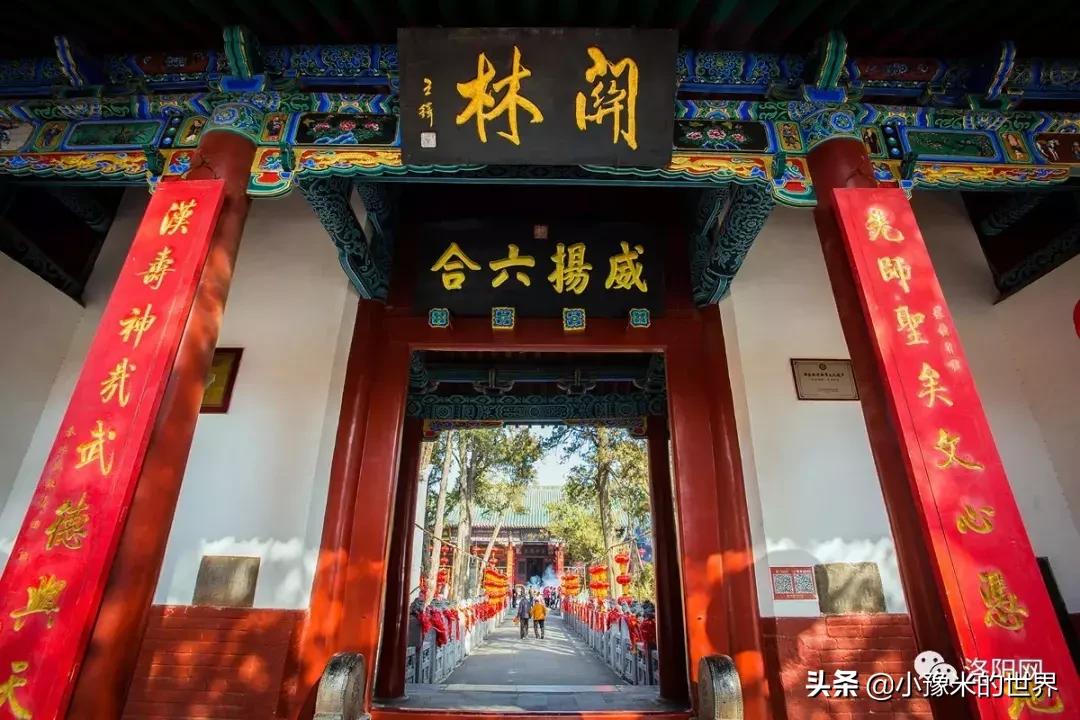 河南洛阳发布最新通知,洛阳牡丹花会向全世界发出邀请