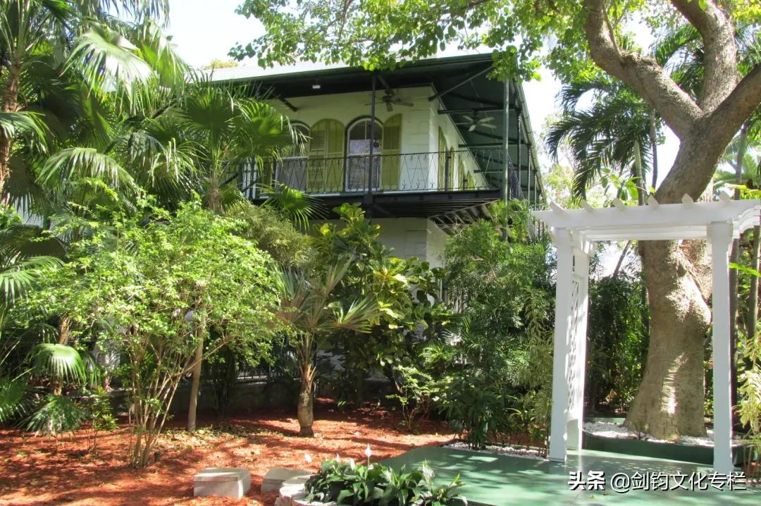 周末散文五人行｜剑钧｜天边的海明威猫