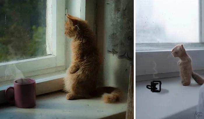 网友晒出5颗巨型毛球，救命！我快要窒息了