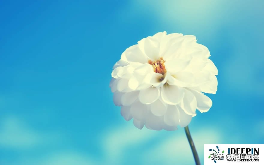 电脑c盘e盘满了该怎么清理,笔记本电脑c盘满了怎么转移