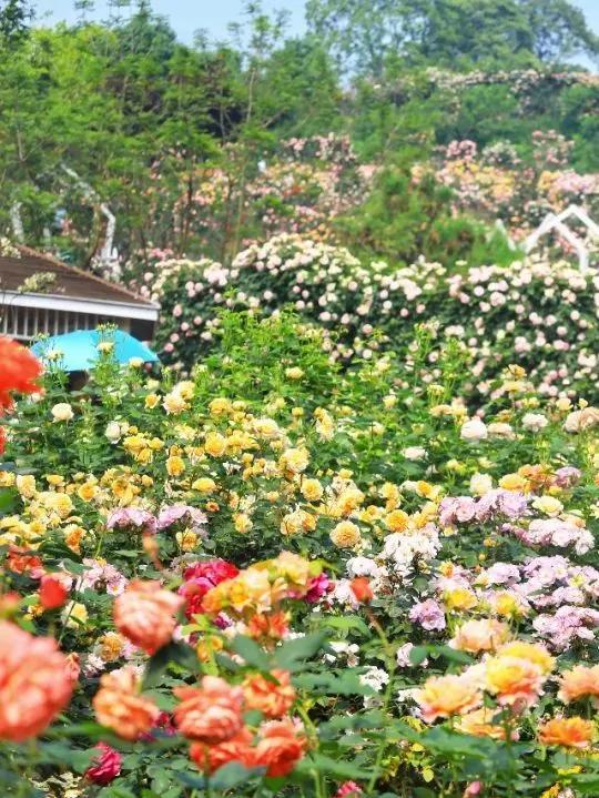 周边有什么可逛的地方吗,4月适合去哪儿旅游攻略