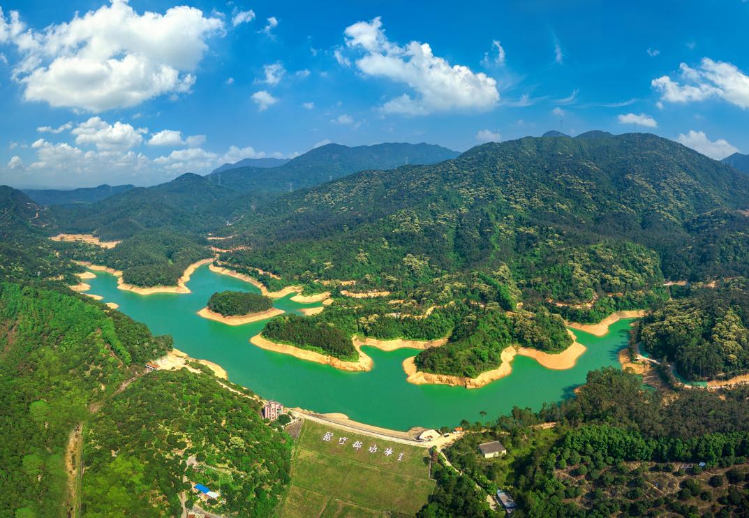 东莞樟木头旧改最新通知,樟木头最大旧改最新消息