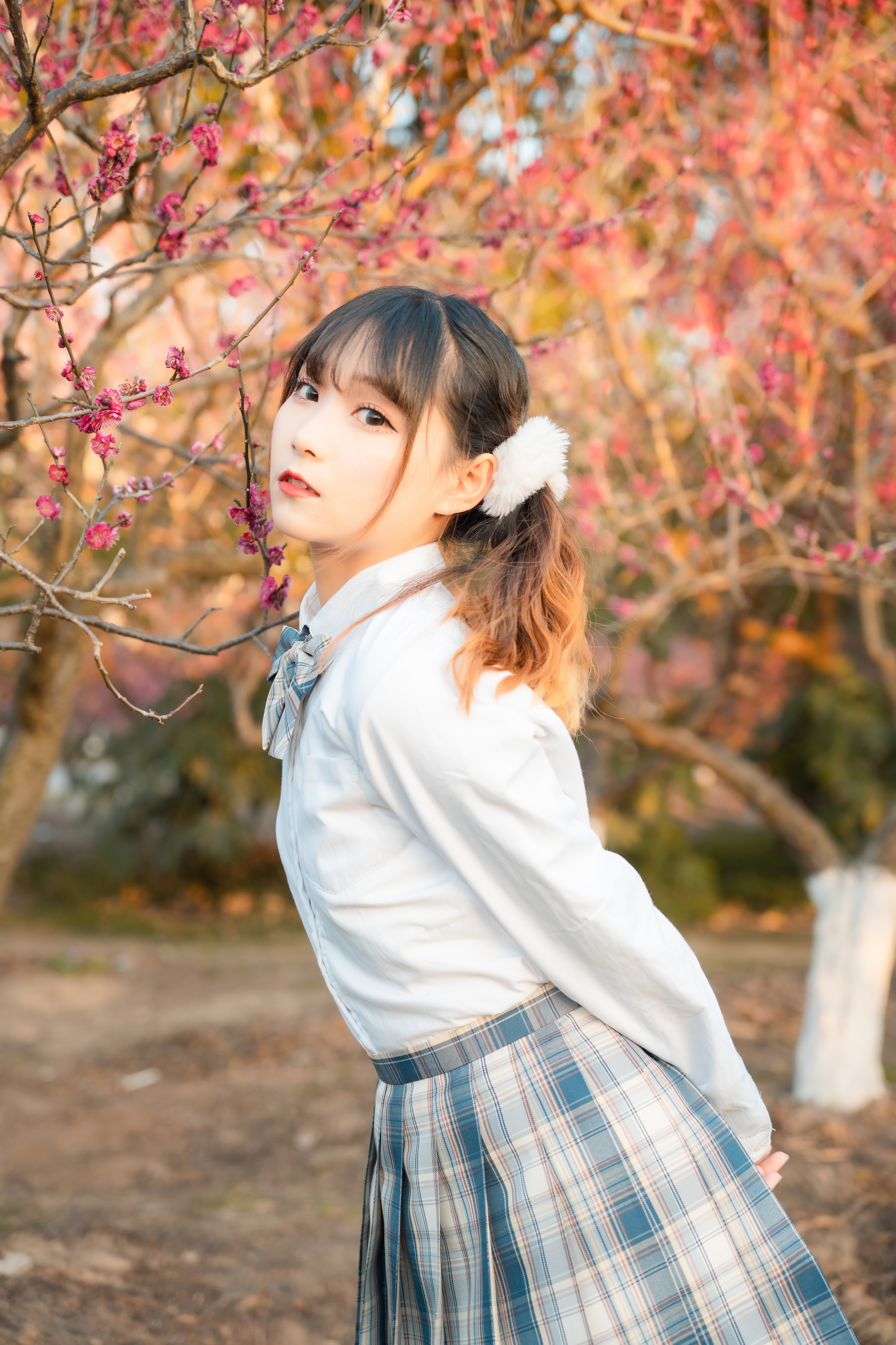 适马24-702.8二代镜头测评,适马新出的24-702.8镜头怎样