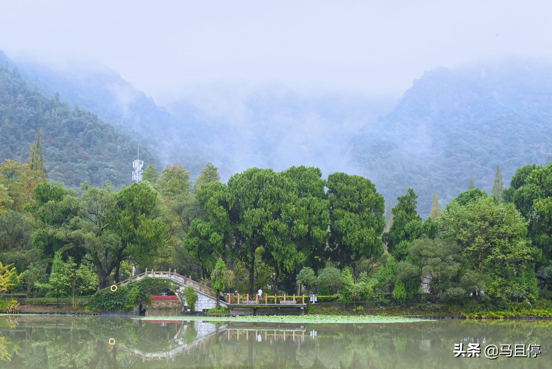 台州黄岩还有崛起的时候吗,黄岩有多强
