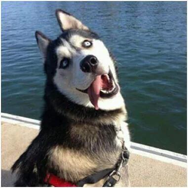 揭秘淘宝上的内部优惠券群是怎么赚钱的