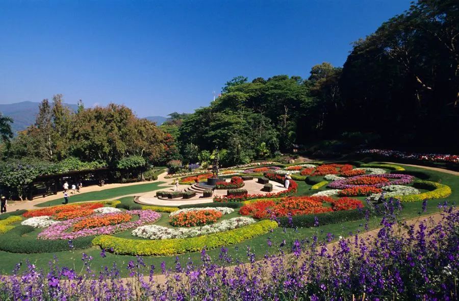 泰国特价签证,申请泰国旅行签证90天需要多少钱