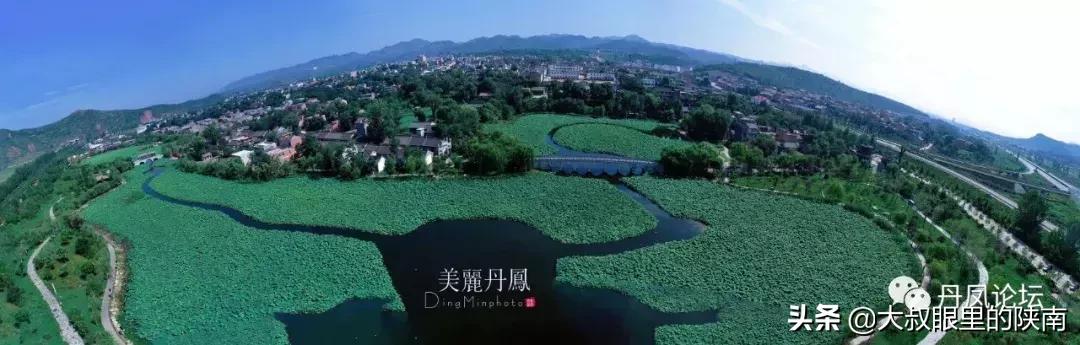 丹凤县七一建党节活动,丹凤建党