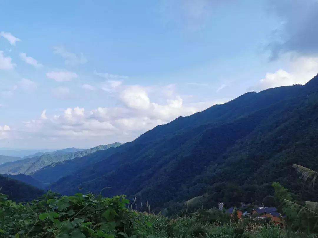 适合五一的浏阳民宿,浏阳最美民宿