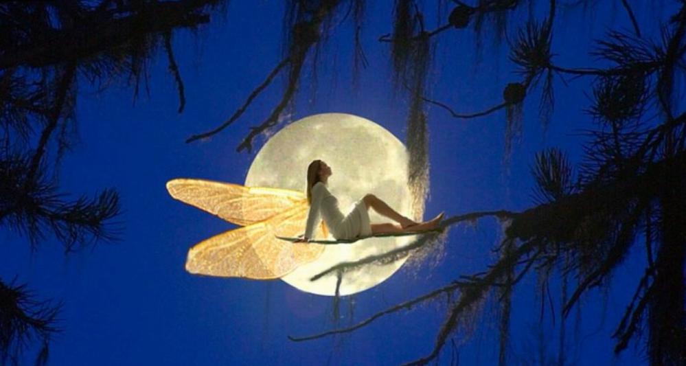 散文读山品水,散文读苏轼