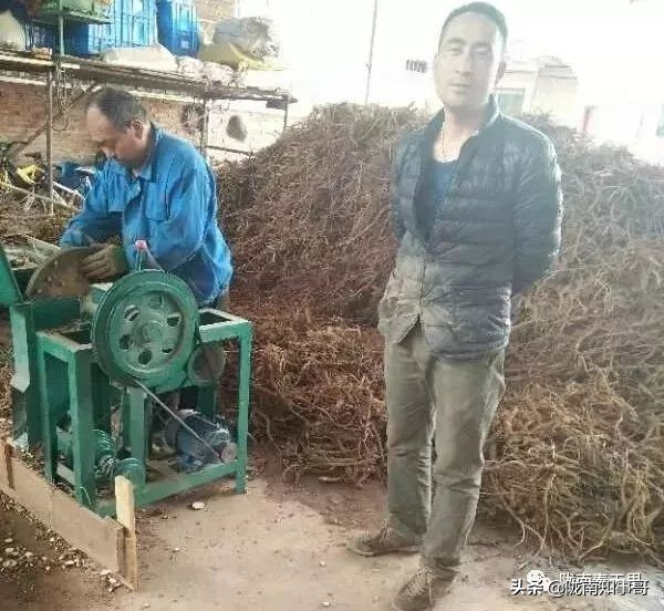 事业爱情双丰收短片,事业与爱情双丰收