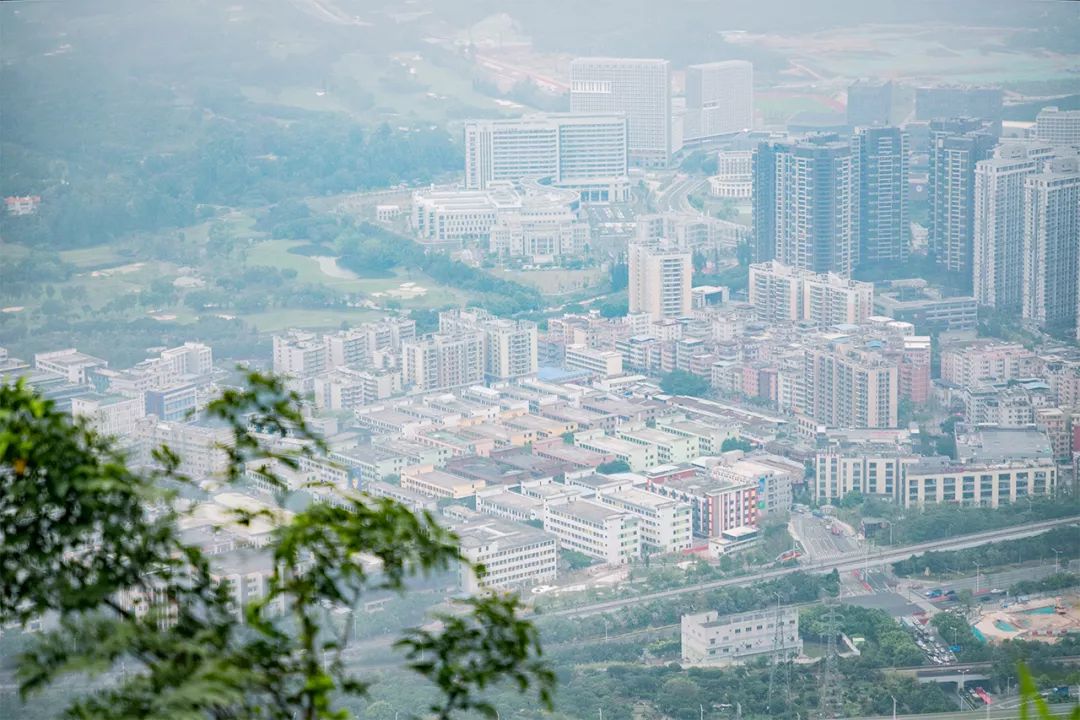 深圳值得打卡的建筑物,深圳最值得打卡的山