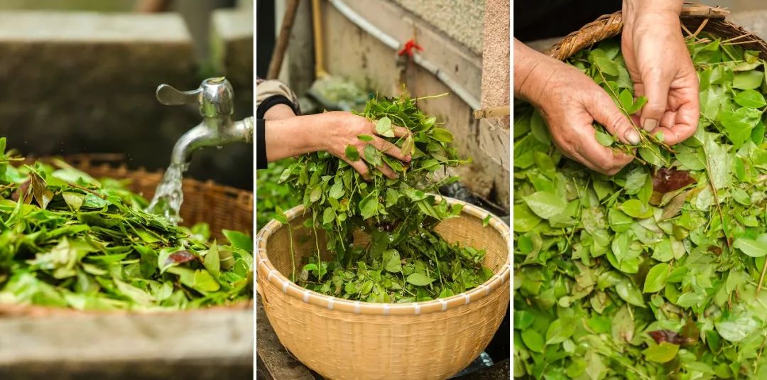 味道研究所,味道研究所上海