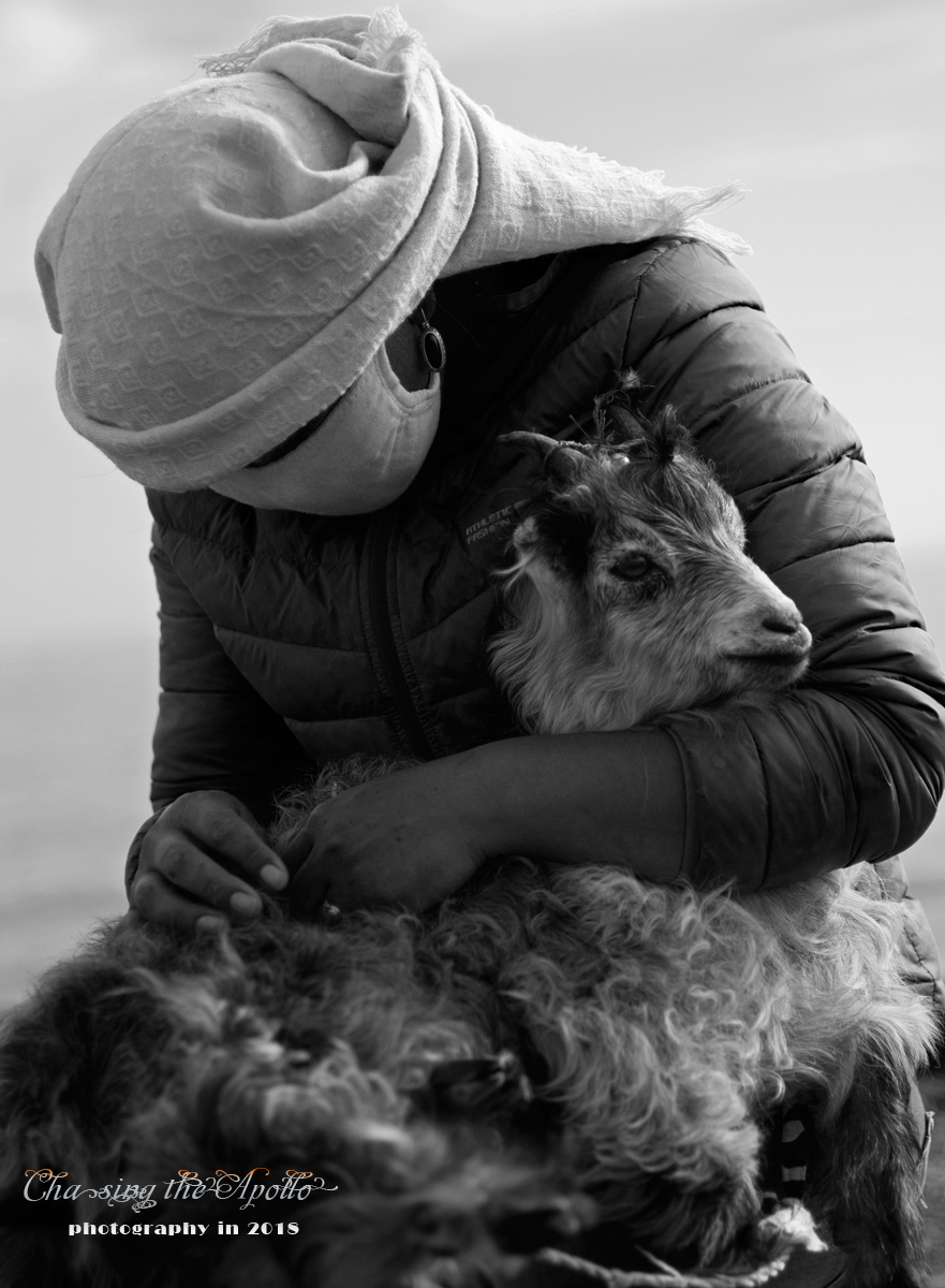 徕卡定焦镜头,徕卡m50镜头评测