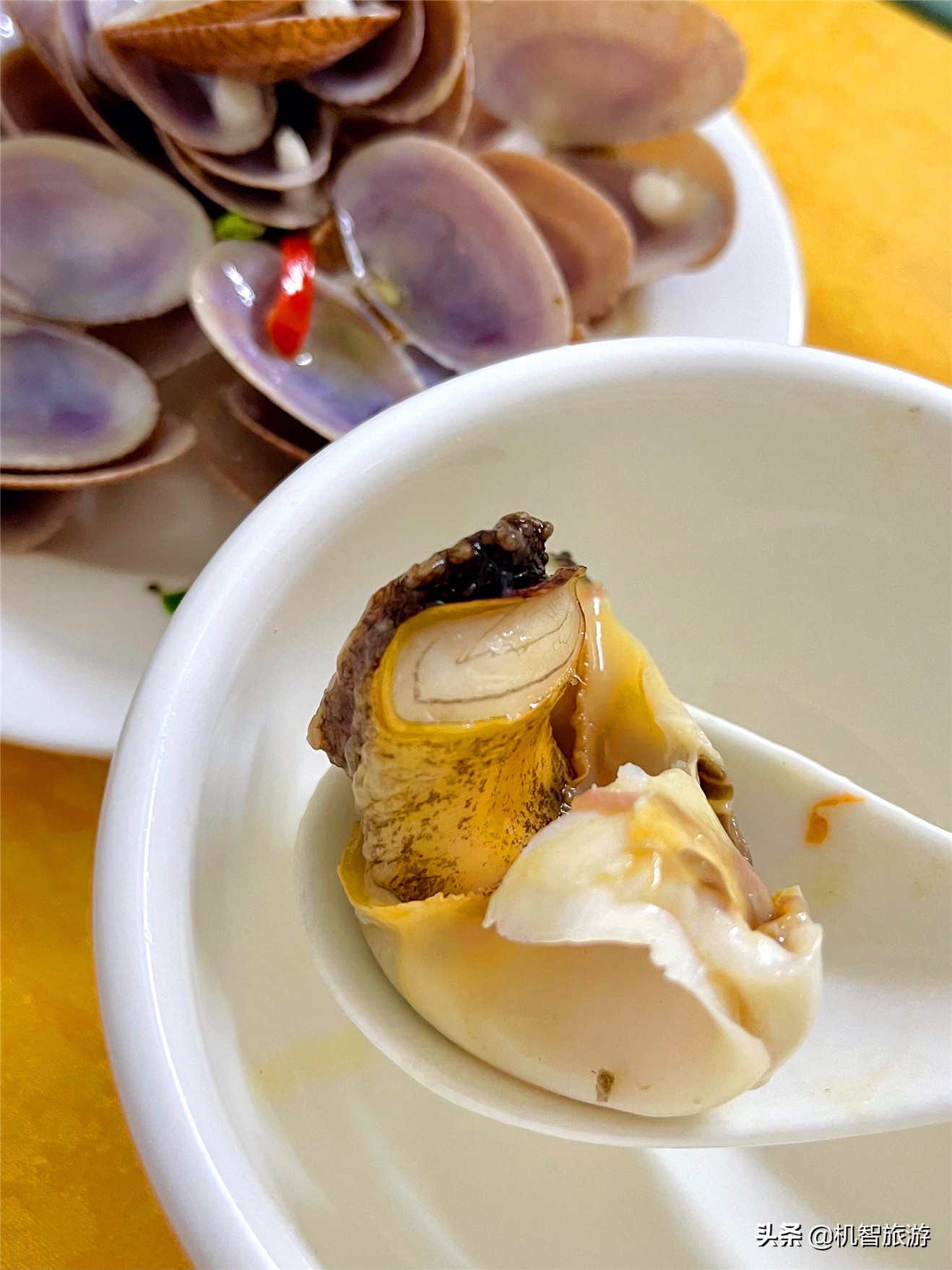 日照渔家住宿吃饭要钱吗,日照渔家乐住宿哪家实惠