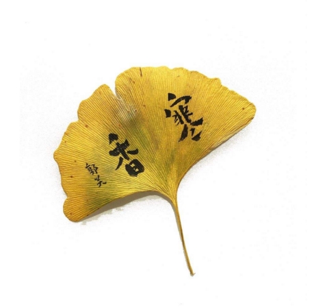 清朝第一女词人,清代第一女词人婚恋堪比琼瑶小说