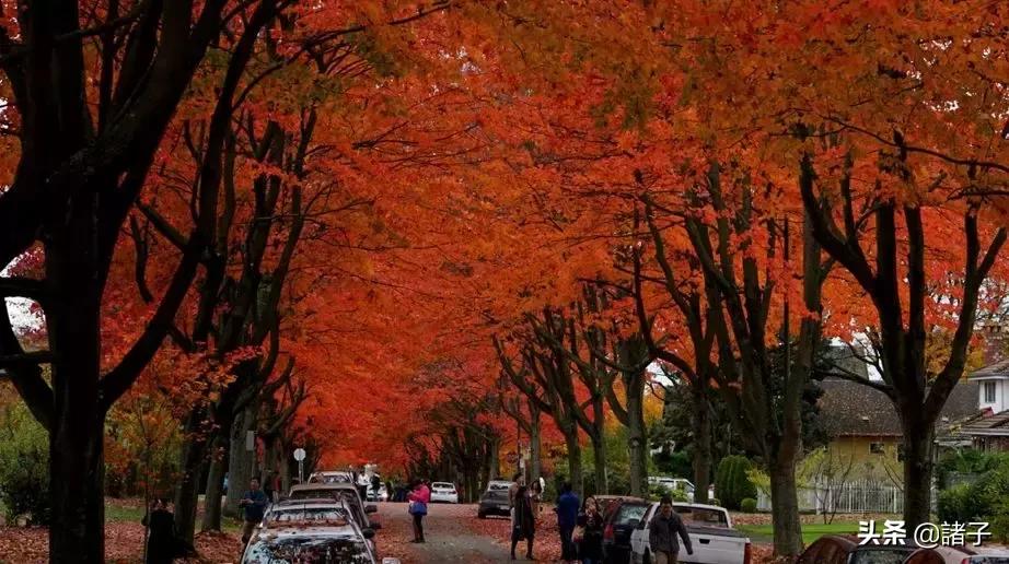 曾经的我怀揣梦想,曾经怀揣梦想满怀希望