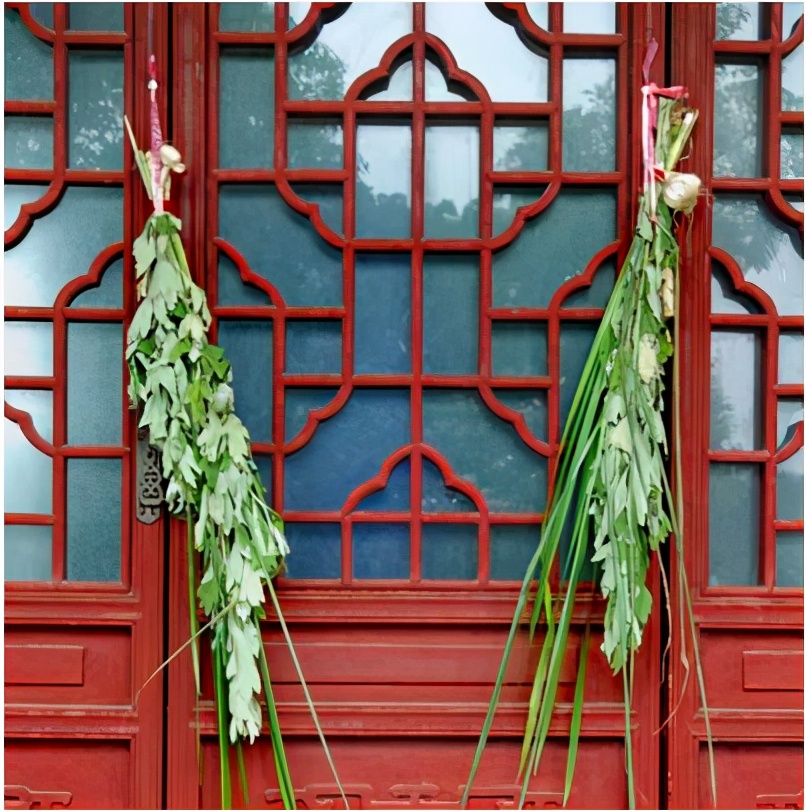 端午节为什么要挂艾草简短,端午节挂艾草是什么意思啊