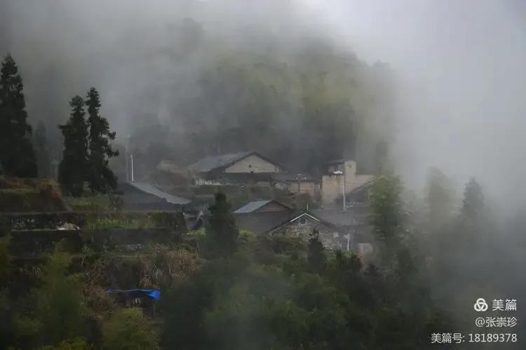 泰顺葛洋陶氏三兄弟修建的三条古道，等你来打卡～