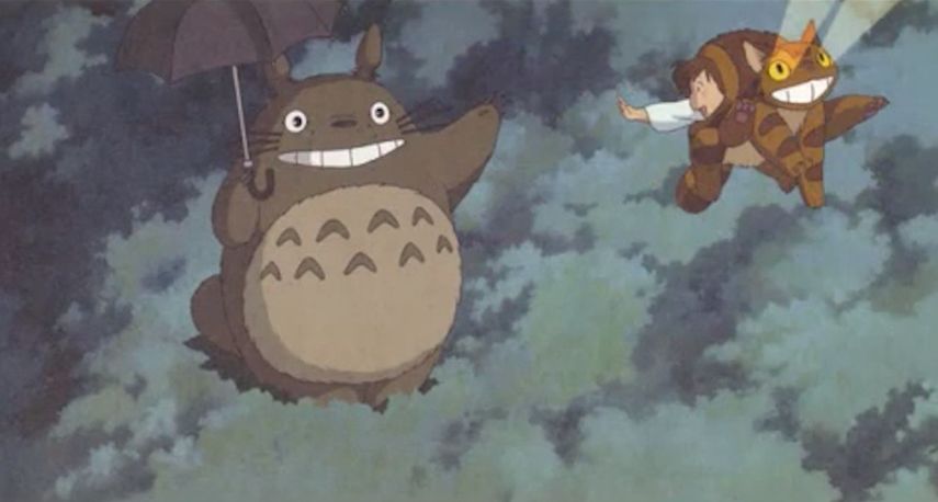 龙猫可怕的真相,龙猫事件真相揭秘