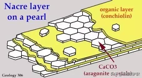 珍珠粉美白的原理,珍珠粉可以美白淡斑吗