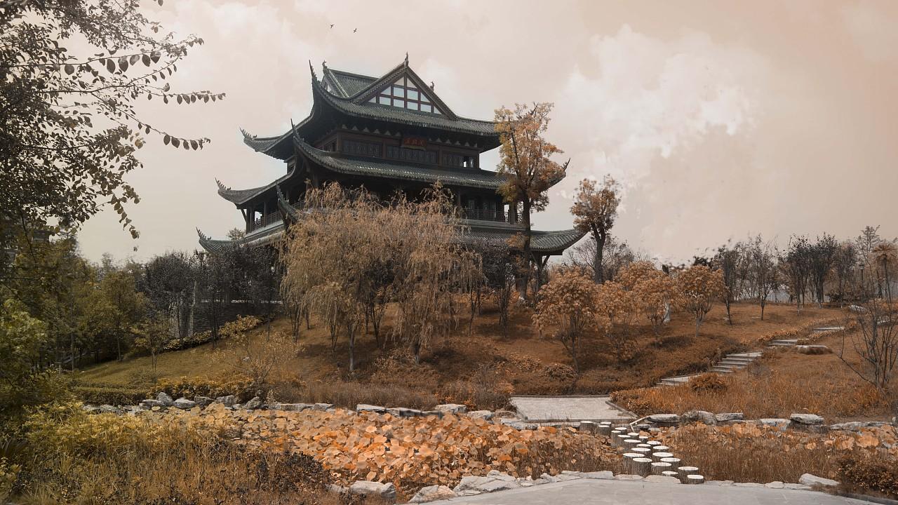 离离原上草全诗说了什么道理,离离原上草全诗的主要内容