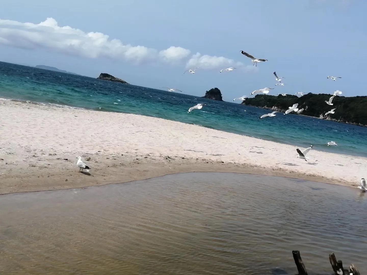 记忆中的旅行之新西兰（北岛）