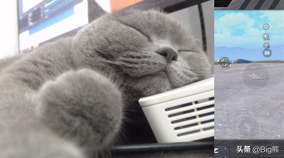 *牙虎**包子用猫来直播,打出21杀吃鸡战绩,粉丝表示要继续看猫!