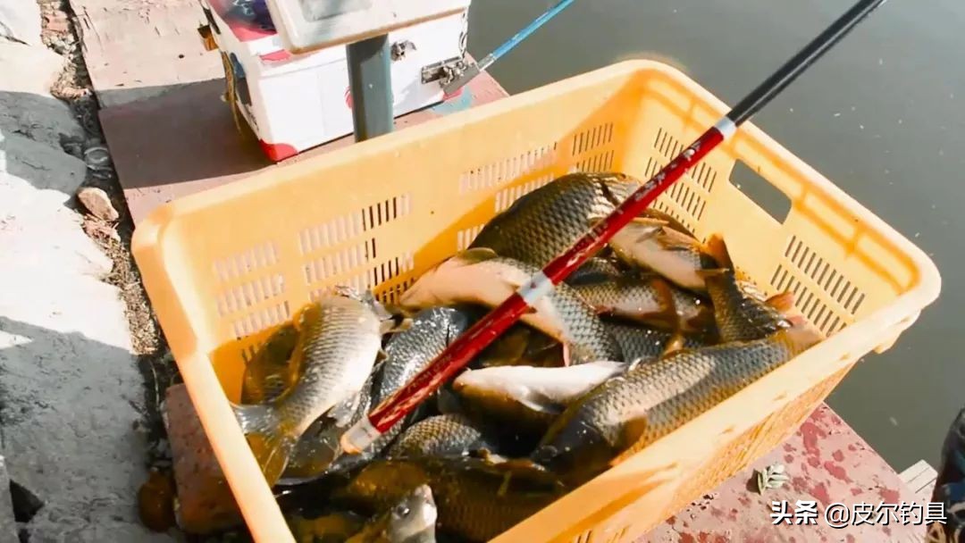 红狼火剑5h鱼竿,红狼鱼竿正品4.5米火剑竿