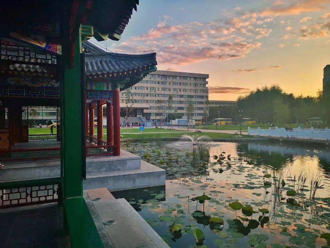 哈尔滨高校绰号,哈尔滨大学搞笑