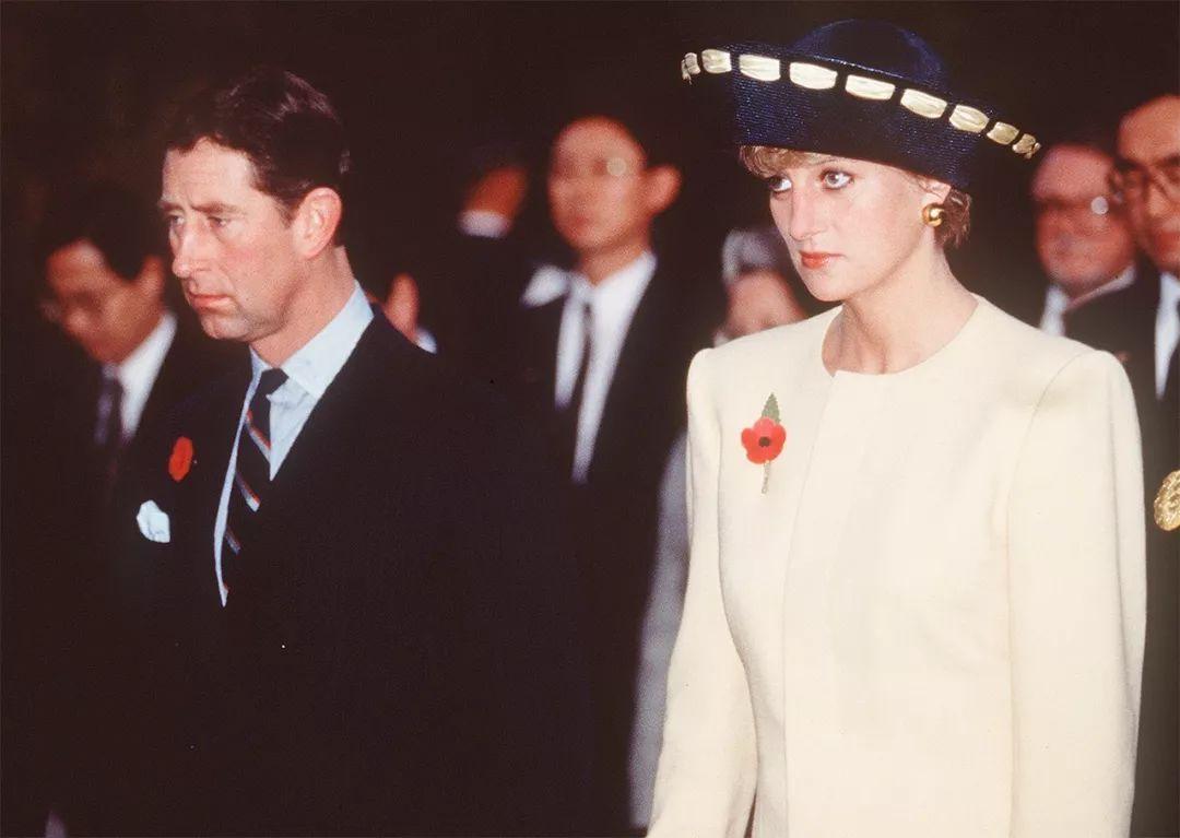 戴安娜对查尔斯的报复,戴安娜和查尔斯不和的原因