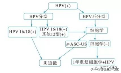 hpv61阳性可以自愈吗需要治疗吗,检查出HPV阳性怎么办